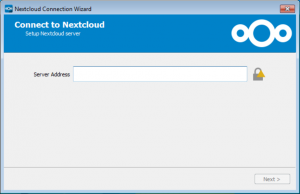 Setup: server address